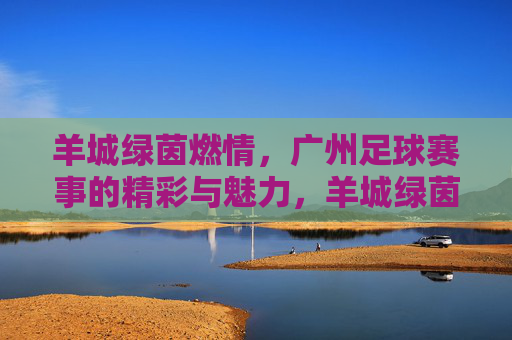 羊城绿茵燃情，广州足球赛事的精彩与魅力，羊城绿茵燃情，广州足球赛事的精彩与魅力