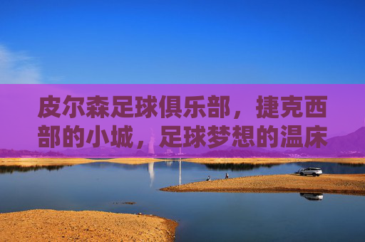 皮尔森足球俱乐部,捷克西部的小城,足球梦想的温床与荣耀之地
