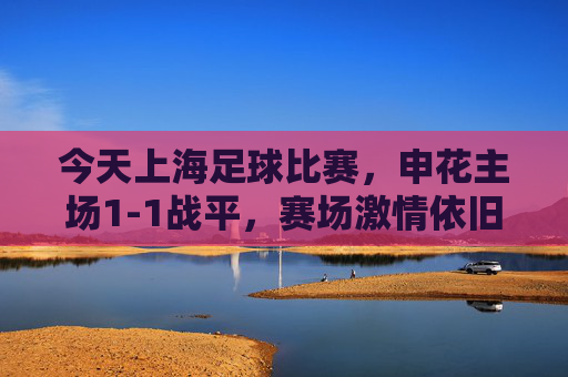 今天上海足球比赛,申花主场1-1战平,赛场激情依旧,球迷热情不减,展现上海足球魅力