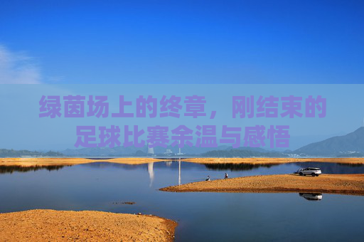 绿茵场上的终章,刚结束的足球比赛余温与感悟
