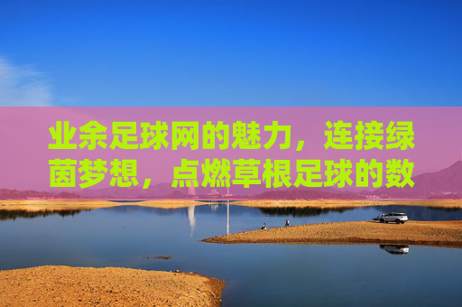 业余足球网的魅力,连接绿茵梦想,点燃草根足球的数字引擎