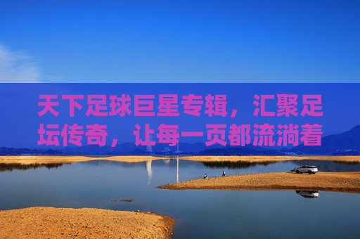 天下足球巨星专辑，汇聚足坛传奇，让每一页都流淌着热血与荣耀