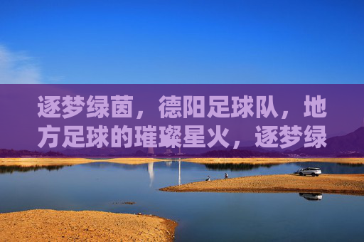 逐梦绿茵，德阳足球队，地方足球的璀璨星火，逐梦绿茵，德阳足球队，地方足球的璀璨星火