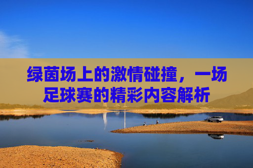 绿茵场上的激情碰撞,一场足球赛的精彩内容解析