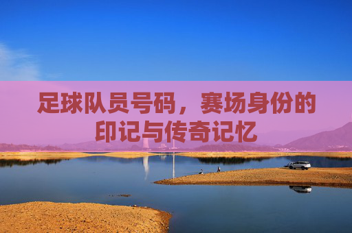 足球队员号码，赛场身份的印记与传奇记忆
