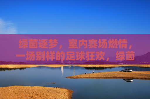绿茵逐梦，室内赛场燃情，一场别样的足球狂欢，绿茵逐梦，室内赛场燃情，一场别样的足球狂欢