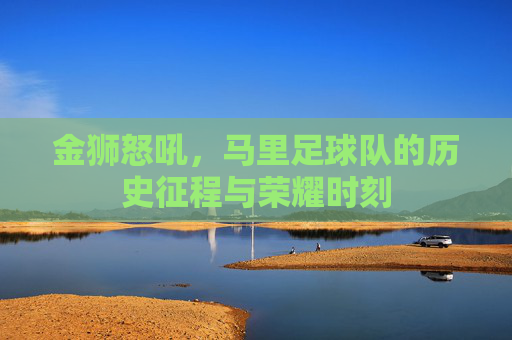 金狮怒吼，马里足球队的历史征程与荣耀时刻
