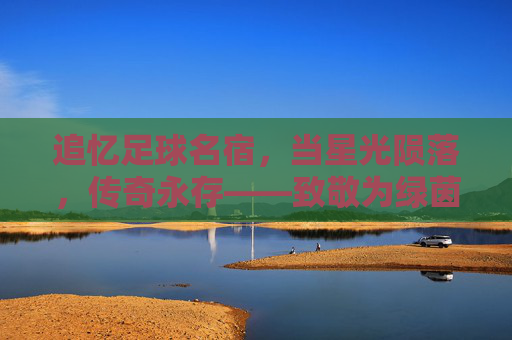 追忆足球名宿，当星光陨落，传奇永存——致敬为绿茵场献身的足球巨人，追忆足球名宿，当星光陨落，传奇永存——致敬为绿茵场献身的足球巨人