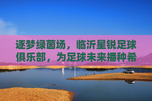 逐梦绿茵场，临沂星锐足球俱乐部，为足球未来播种希望，逐梦绿茵场，临沂星锐足球俱乐部，为足球未来播种希望