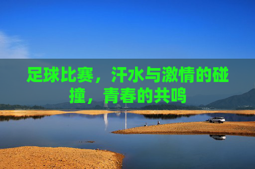 足球比赛，汗水与激情的碰撞，青春的共鸣