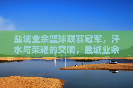 盐城业余篮球联赛冠军，汗水与荣耀的交响，盐城业余篮球联赛冠军，汗水与荣耀的交响
