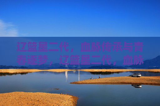 辽篮星二代，血脉传承与青春逐梦，辽篮星二代，血脉传承与青春逐梦