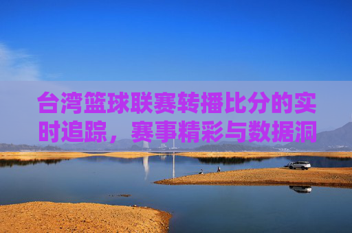 台湾篮球联赛转播比分的实时追踪,赛事精彩与数据洞察,台湾篮球联赛实时比分追踪,赛事精彩与数据洞察