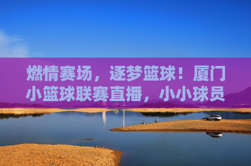 燃情赛场,逐梦篮球!厦门小篮球联赛直播,小小球员的青春活力与拼搏精神闪耀荧屏,燃情赛场,逐梦篮球!厦门小篮球联赛直播,小小球员的青春活力与拼搏精神闪耀荧屏