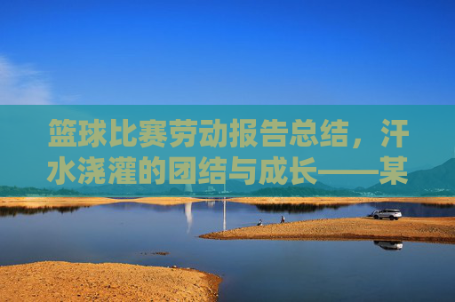 篮球比赛劳动报告总结，汗水浇灌的团结与成长——某次校园篮球比赛劳动实践回顾，篮球比赛劳动报告总结，汗水浇灌的团结与成长——某次校园篮球比赛劳动实践回顾