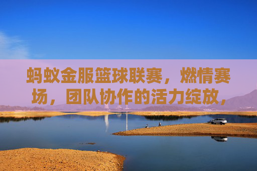 蚂蚁金服篮球联赛,燃情赛场,团队协作的活力绽放,蚂蚁金服篮球联赛,燃情赛场,团队协作的活力绽放