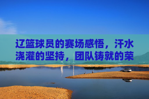 辽篮球员的赛场感悟，汗水浇灌的坚持，团队铸就的荣光，辽篮球员赛场感悟，汗水浇灌坚持，团队铸就荣光