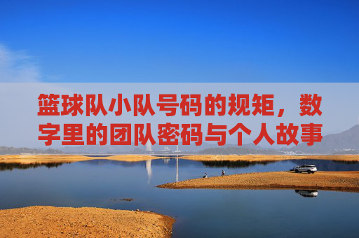 篮球队小队号码的规矩，数字里的团队密码与个人故事，篮球队小队号码，数字里的团队密码与个人故事