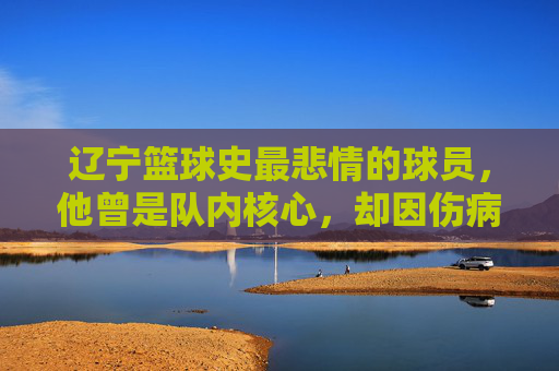 辽宁篮球史最悲情的球员，他曾是队内核心，却因伤病与争议黯然离队，留下无尽遗憾