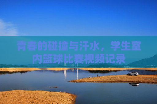 青春的碰撞与汗水，学生室内篮球比赛视频记录