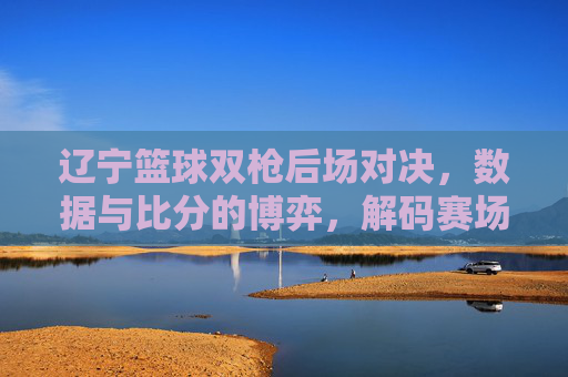 辽宁篮球双枪后场对决,数据与比分的博弈,解码赛场胜负密码