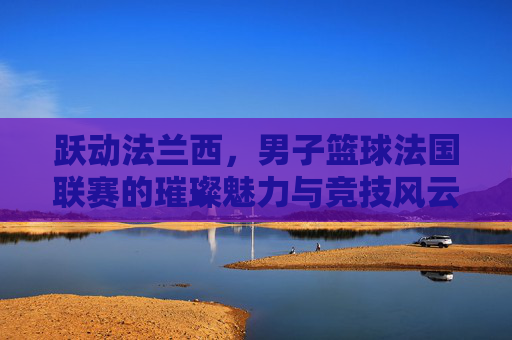 跃动法兰西,男子篮球法国联赛的璀璨魅力与竞技风云