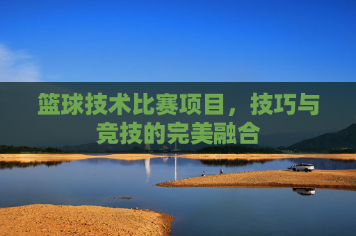 篮球技术比赛项目,技巧与竞技的完美融合