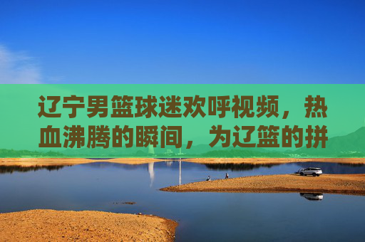 辽宁男篮球迷欢呼视频,热血沸腾的瞬间,为辽篮的拼搏与荣耀而呐喊