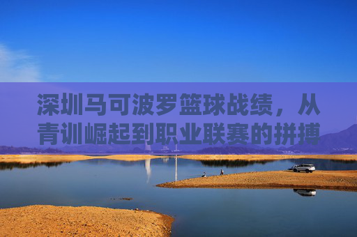 深圳马可波罗篮球战绩，从青训崛起到职业联赛的拼搏与辉煌，深圳马可波罗篮球，从青训崛起到职业联赛的拼搏与辉煌