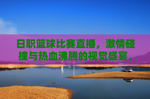 日职篮球比赛直播,激情碰撞与热血沸腾的视觉盛宴,日职篮球直播,激情碰撞与热血沸腾的视觉盛宴