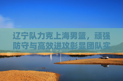 辽宁队力克上海男篮，顽强防守与高效进攻彰显团队实力，辽宁队力克上海男篮，顽强防守与高效进攻彰显团队实力