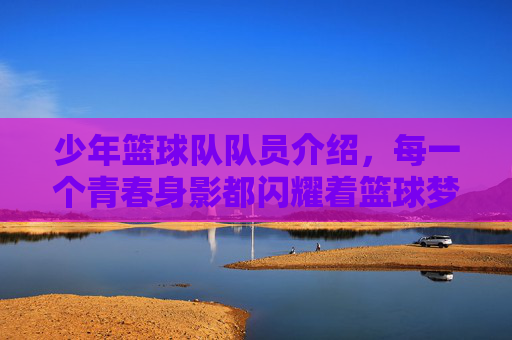 少年篮球队队员介绍,每一个青春身影都闪耀着篮球梦想的光芒,少年篮球队队员介绍,每一个青春身影都闪耀着篮球梦想的光芒