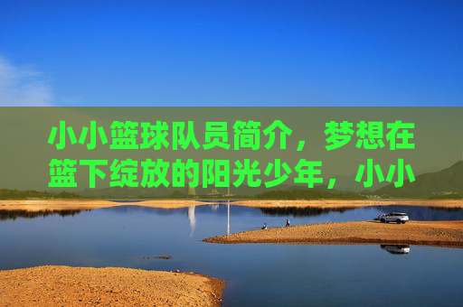 小小篮球队员简介，梦想在篮下绽放的阳光少年，小小篮球队员简介，梦想在篮下绽放的阳光少年