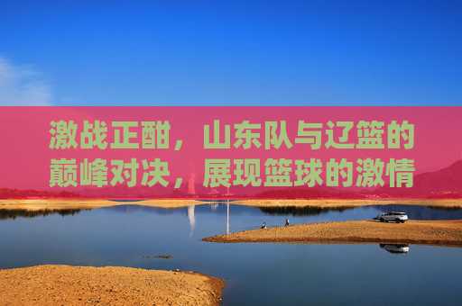 激战正酣，山东队与辽篮的巅峰对决，展现篮球的激情与竞技魅力，激战正酣，山东队与辽篮巅峰对决，展现篮球的激情与竞技魅力