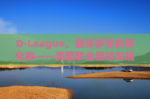 D-League,篮球梦想的孵化器——美国职业篮球发展联盟的崛起与深远影响,D-League,篮球梦想的孵化器——美国职业篮球发展联盟的崛起与深远影响