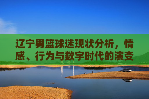 辽宁男篮球迷现状分析,情感、行为与数字时代的演变,辽宁男篮球迷现状分析,情感、行为与数字时代的演变