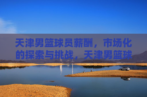 天津男篮球员薪酬,市场化的探索与挑战,天津男篮球员薪酬,市场化探索与挑战