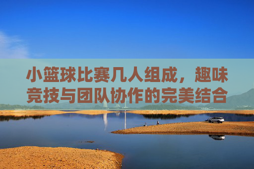小篮球比赛几人组成，趣味竞技与团队协作的完美结合，小篮球比赛几人组成，趣味竞技与团队协作的完美结合