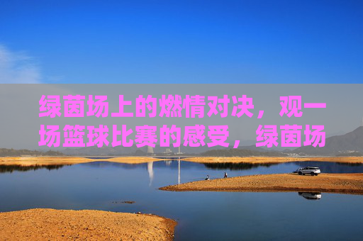 绿茵场上的燃情对决,观一场篮球比赛的感受,绿茵场上的燃情篮球对决,观一场比赛的感受