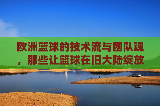 欧洲篮球的技术流与团队魂，那些让篮球在旧大陆绽放异彩的人，欧洲篮球的技术流与团队魂，那些让篮球在旧大陆绽放异彩的人
