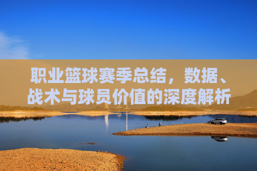 职业篮球赛季总结，数据、战术与球员价值的深度解析——2023-24赛季的复盘与展望，职业篮球赛季总结，数据、战术与球员价值的深度解析——2023-24赛季的复盘与展望
