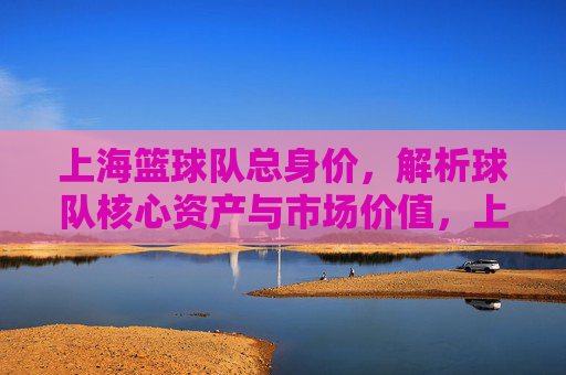 上海篮球队总身价,解析球队核心资产与市场价值,上海篮球队总身价解析,核心资产与市场价值分析