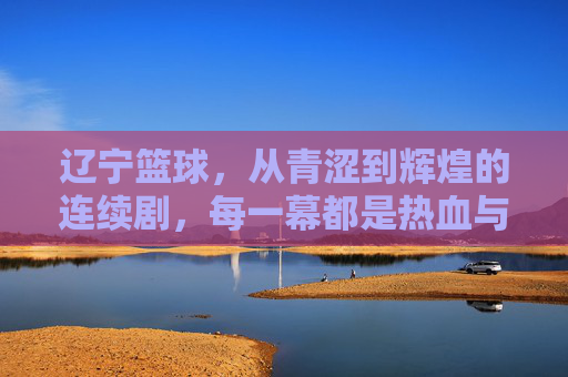 辽宁篮球，从青涩到辉煌的连续剧，每一幕都是热血与坚持的注脚