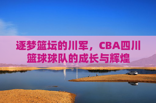 逐梦篮坛的川军,CBA四川篮球球队的成长与辉煌