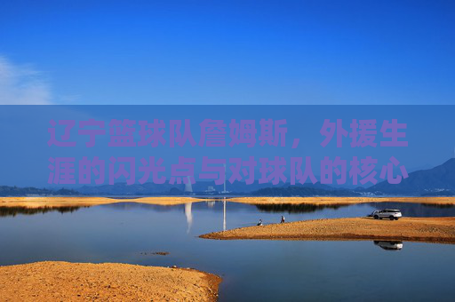 辽宁篮球队詹姆斯，外援生涯的闪光点与对球队的核心贡献