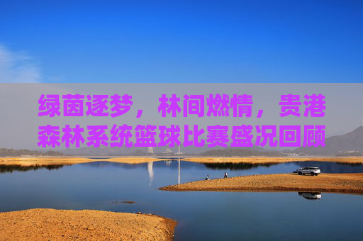 绿茵逐梦，林间燃情，贵港森林系统篮球比赛盛况回顾