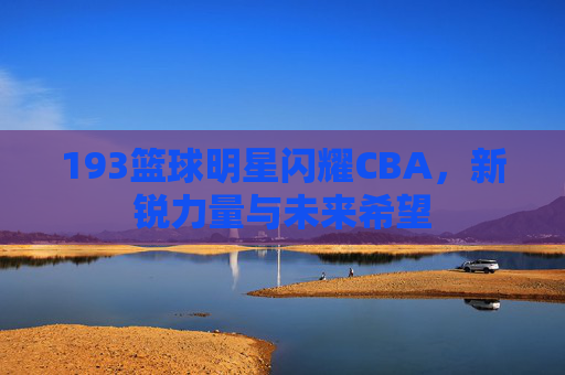 193篮球明星闪耀CBA,新锐力量与未来希望