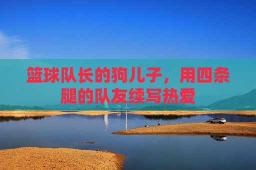 篮球队长的狗儿子,用四条腿的队友续写热爱