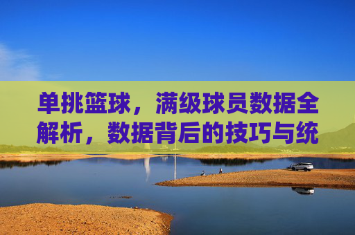 单挑篮球,满级球员数据全解析,数据背后的技巧与统治力巅峰,单挑篮球满级球员数据全解析,技巧与统治力巅峰