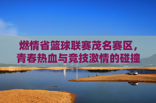 燃情省篮球联赛茂名赛区,青春热血与竞技激情的碰撞